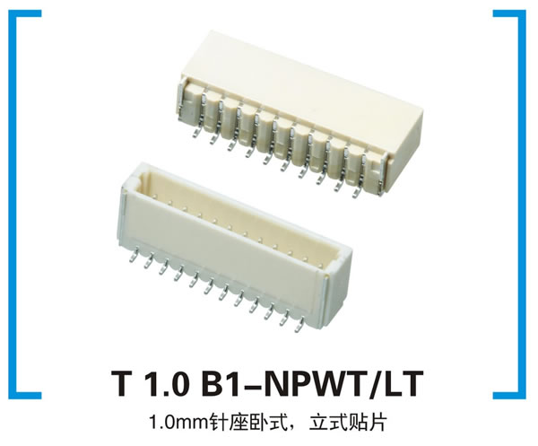 T 1 B1-NPWT/LT