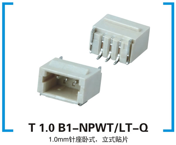 T 1.0 B1-NPWT/LT-Q