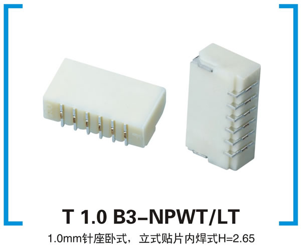 T 1.0 B3-NPWT/LT